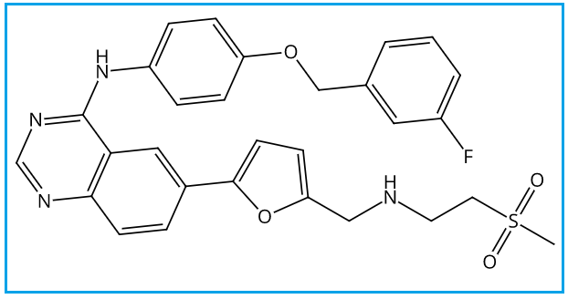 Lapatinib Deschloro Impurity